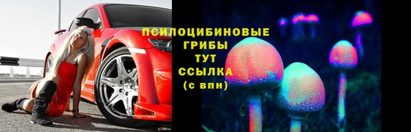 МДПВ Богданович