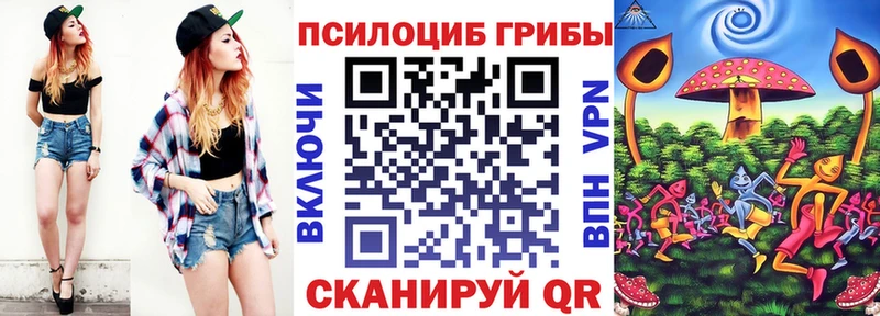 Псилоцибиновые грибы Psilocybine cubensis Ворсма